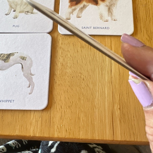 Laurence King Dog Coasters. Set of 16. New in Box - Picture 7 of 12